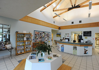 pet daycare in nantucket