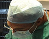 offshore animal hospital pet friendly veterinarian nantucket